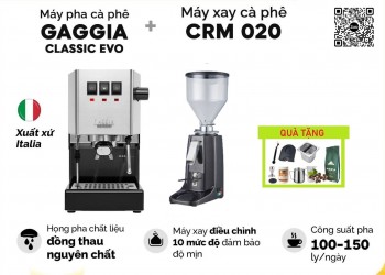 Combo Gaggia Evo và Ld020